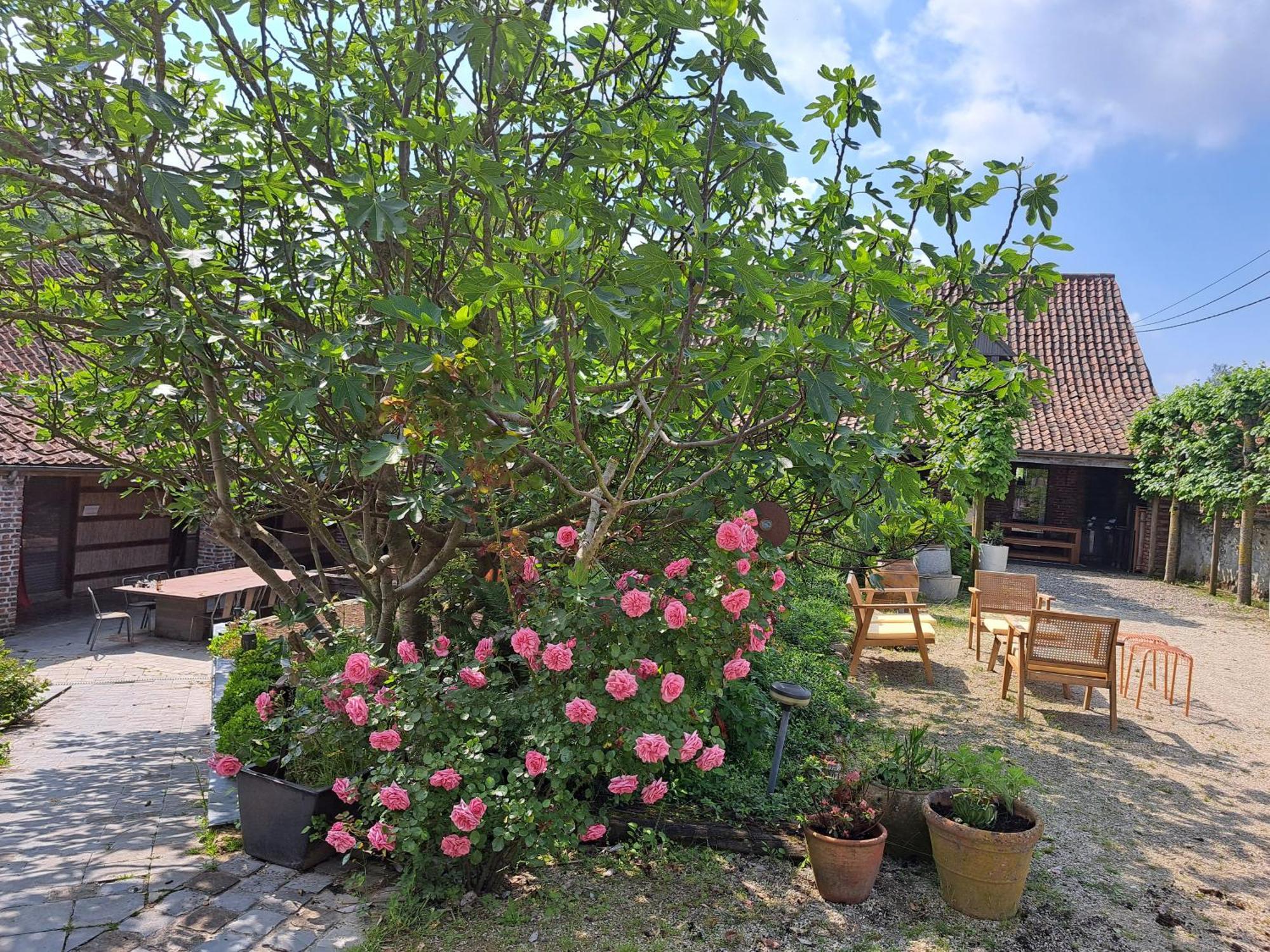 Villa La Jauchelle Thimougies Esterno foto